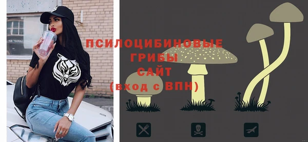 сатива Арсеньев