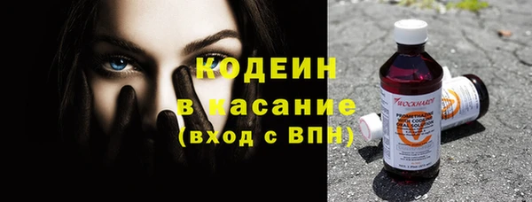 сатива Арсеньев