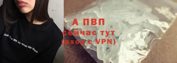 spice Аркадак