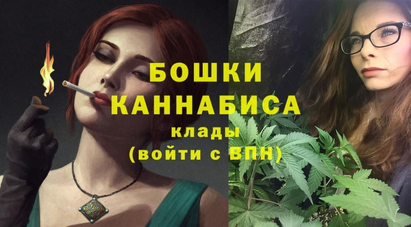 сатива Арсеньев