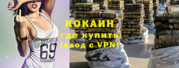 сатива Арсеньев