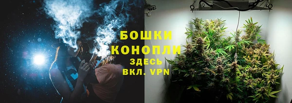spice Аркадак