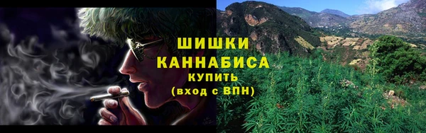 сатива Арсеньев