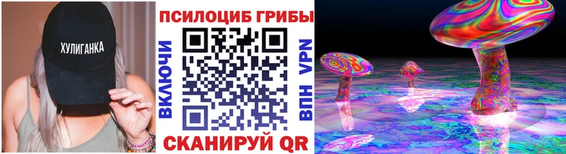 Псилоцибиновые грибы Psilocybe  Инта 