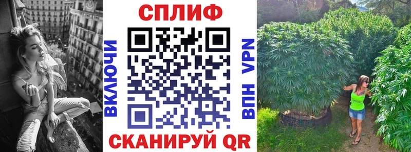 Бошки марихуана марихуана  Инта 